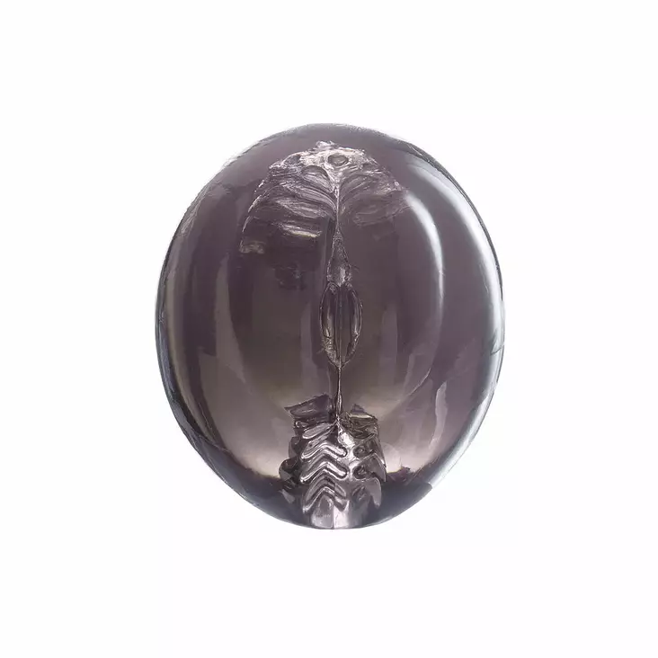 CUM ON - Jelly masturbaattori, musta - Nanma - 47076-1 - 1